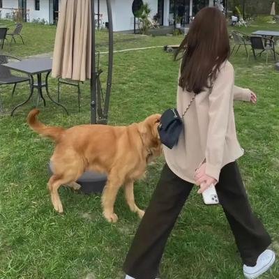 打卡吧!吃货团